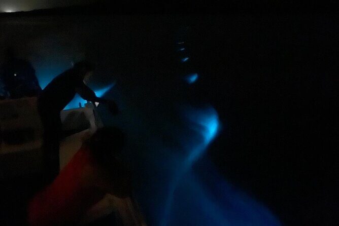 Bioluminescent Boat Tour in Mosquito Bay, Vieques - The guide experience: learning about the bay and the night sky