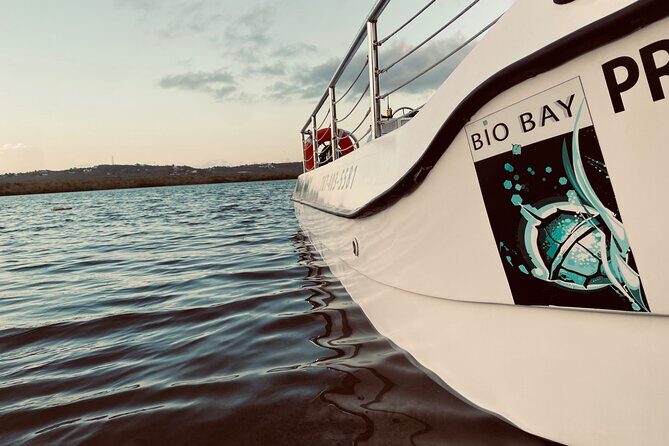 Bioluminescent Boat Tour in Mosquito Bay, Vieques - How the glow happens in real time: sticks, poles, and bucket moments