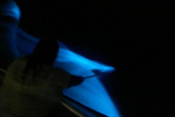 Bioluminescent Boat Tour in Mosquito Bay, Vieques - Price and value: what $100 buys (and what it doesn’t)