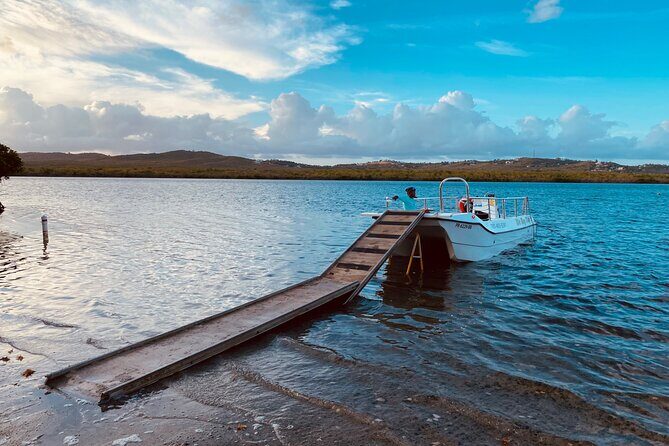 Bioluminescent Boat Tour in Mosquito Bay, Vieques - Small-group comfort vs. the risks of last-minute changes