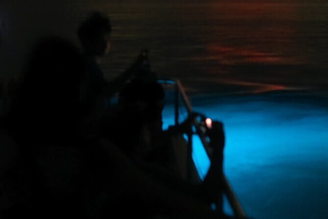 Bioluminescent Boat Tour in Mosquito Bay, Vieques - Life jackets, climate control, and a small 24-foot electric catamaran