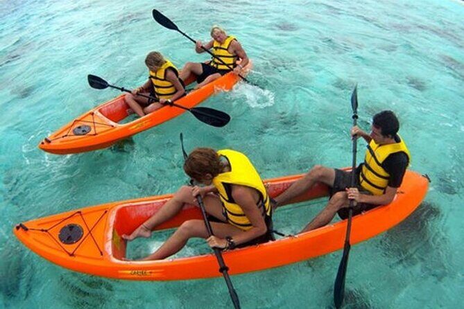 CLEAR BOTTOM KAYAKS Tour in Bioluminescent, Mosquito Bay - Why Mosquito Bay glows in blue, and how your paddle changes the view