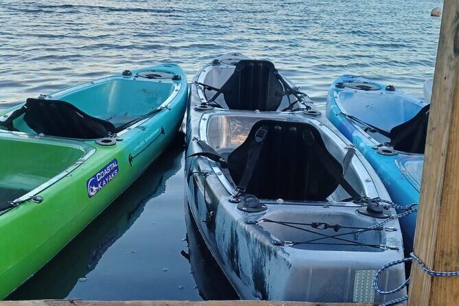CLEAR BOTTOM KAYAKS Tour in Bioluminescent, Mosquito Bay - Price value at about $66.67: what you’re paying for (and what’s included)