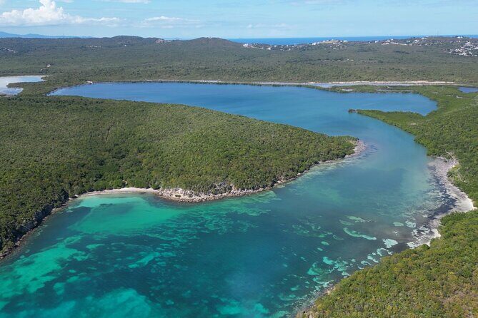 CLEAR BOTTOM KAYAKS Tour in Bioluminescent, Mosquito Bay - Who should book: families, first-timers, and star-watchers on a night with the right conditions