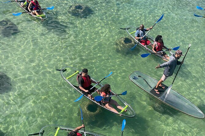 Clear Kayak Tour in Condado Lagoon - Key highlights I’d plan around