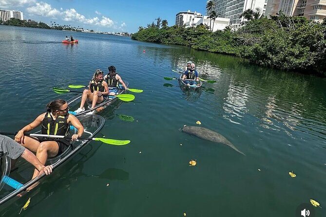 Clear Kayak Tour in Condado Lagoon - Why early paddling at Condado Lagoon beats the crowds