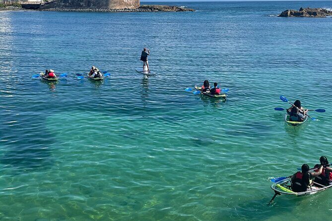 Clear Kayak Tour in Condado Lagoon - Guides you can actually hear: history, ecology, and help with spotting