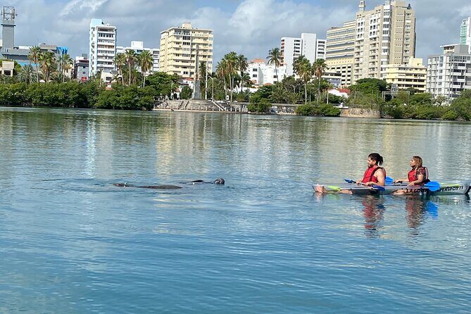 Clear Kayak Tour in Condado Lagoon - Gear, comfort, and what to bring for a clear-kayak morning