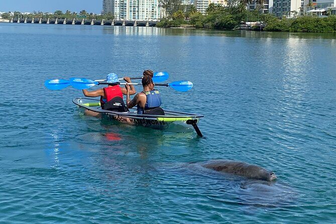 Clear Kayak Tour in Condado Lagoon - Who should book this clear kayak tour in Condado Lagoon?