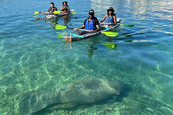 Clear Kayak Tour in Condado Lagoon - Glass-bottom kayak views: the 360-degree show you pay for