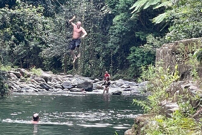 Concrete Jungle to the Actual Jungle, The Complete Package Tour - Private Tour Value: How the Pace, Pickup, and Comfort Add Up