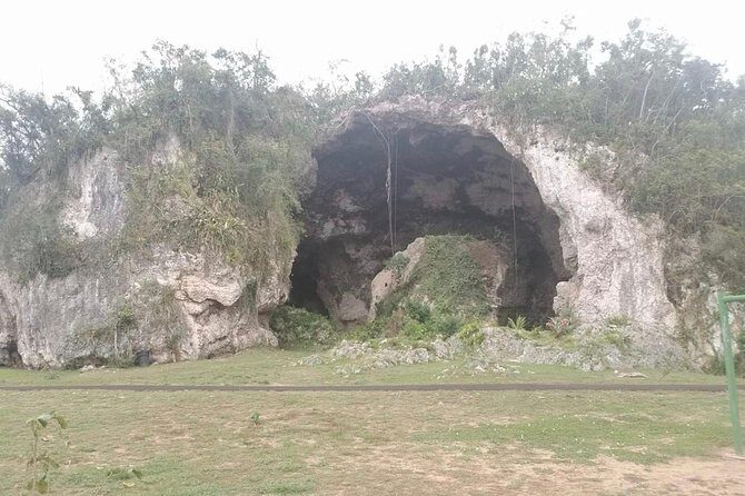 Concrete Jungle to the Actual Jungle, The Complete Package Tour - Should You Book This Tour? My honest call for different travelers