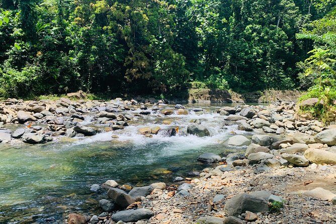 Concrete Jungle to the Actual Jungle, The Complete Package Tour - The Cave Site Stop: Culture on the Road to the Rainforest