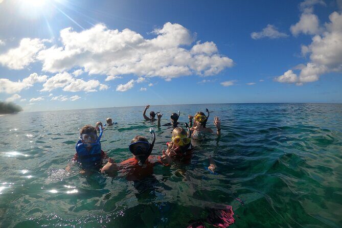Coral Reef Snorkel Adventure with Photos and Videos - Waist-deep practice: why beginners get a real chance to settle in