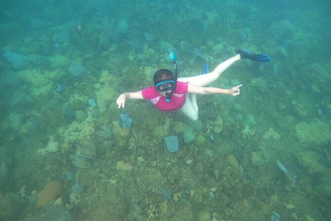 Coral Reef Snorkel Adventure with Photos and Videos - Photos and videos after your snorkel: great value, watch the quality