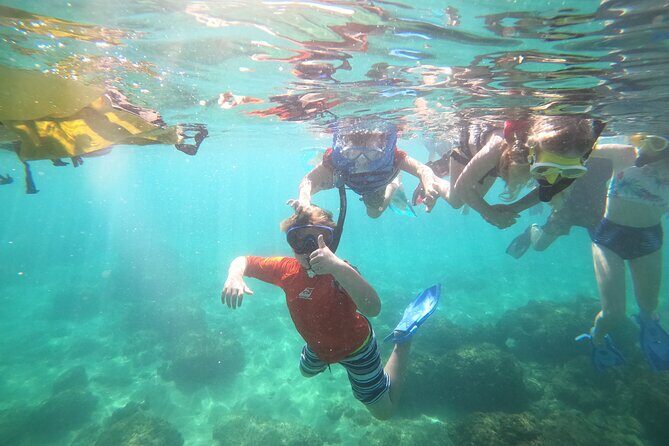 Coral Reef Snorkel Adventure with Photos and Videos - Who this tour fits best (and who might want a different option)