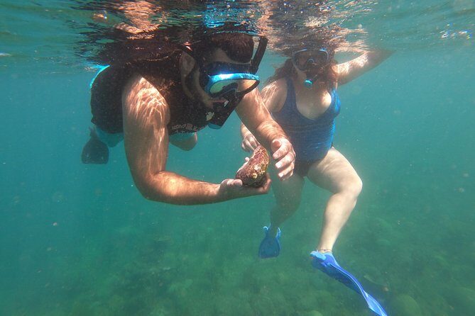 Coral Reef Snorkel Adventure with Photos and Videos - Price and what you actually get for $50 in Rincón