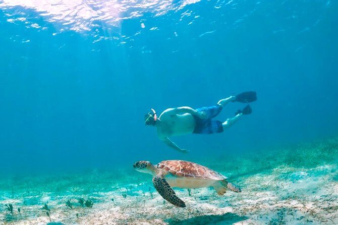 Culebra Snorkel and Turtle Adventure with Transport - Ceiba to Culebra: the ferry handoff that sets the tone