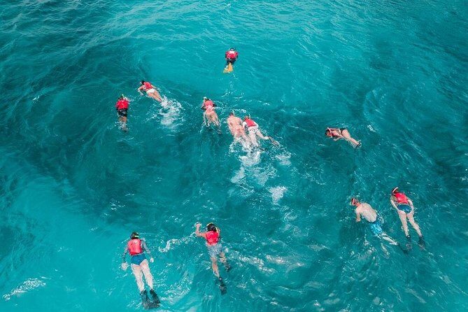 Culebra Snorkel and Turtle Adventure with Transport - Kayaking included: another way to read the water (and relax your arms)