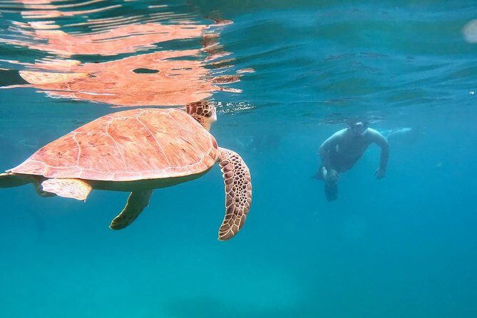 Culebra Snorkel and Turtle Adventure with Transport - Dewey to Tamarindo island tour: getting your bearings fast