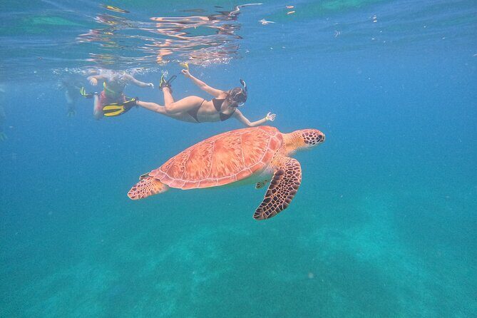 Culebra Swim with Turtles Adventure and Flamenco Beach by Ferry - Culebra in a single day: why this trip is worth the time