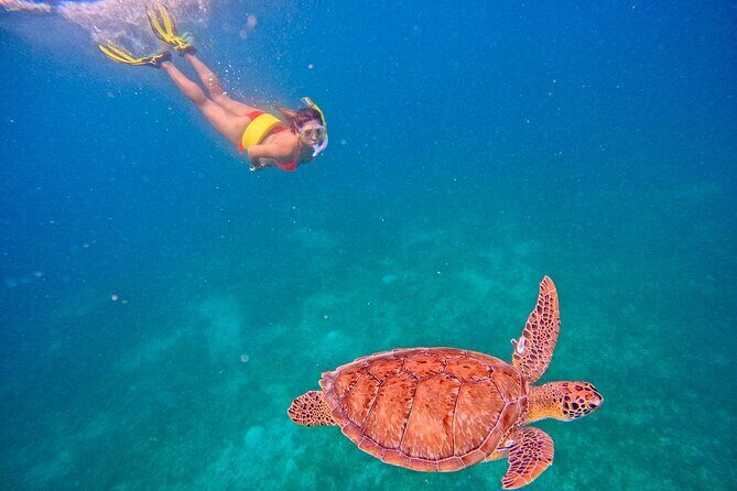 Culebra Swim with Turtles Adventure and Flamenco Beach by Ferry - Flamenco Beach time: the classic payoff after the hard work