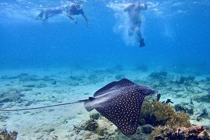 Culebra Swim with Turtles Adventure and Flamenco Beach by Ferry - Transfers on Culebra: not complicated, but plan for sitting