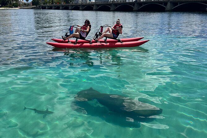 Day Adventure Chiliboats Waterbike – Condado Lagoon - Condado Lagoon on a water bike: the simple idea that works