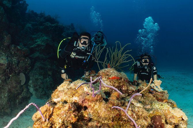 Discover Culebra: 2-Tank Scuba Diving - Key Things That Make This Experience Worth Your Time