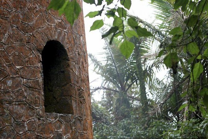 Discover El Yunque National Park: Half-Day Rainforest Tour - El Yunque in a half-day: what you actually get