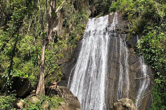 Discover El Yunque National Park: Half-Day Rainforest Tour - The low-impact nature walk: learning without the grind