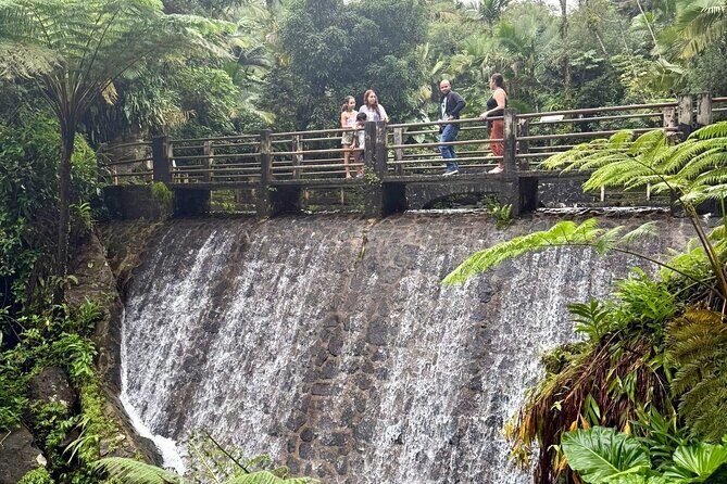 Discover El Yunque National Park: Half-Day Rainforest Tour - La Coca Falls: a big waterfall with convenient access