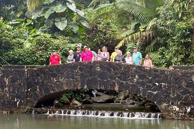 Discover El Yunque National Park: Half-Day Rainforest Tour - Pace check: how long you’ll be “on,” and what you might miss