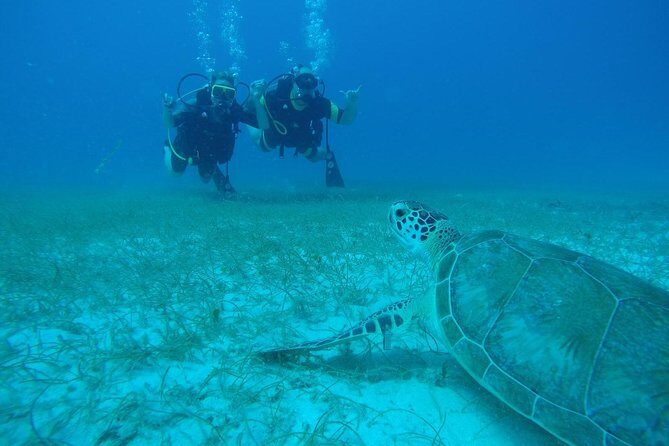 Discover Fajardo: 2-Tank Scuba Diving - Key Things I’d Bookmark Before You Go
