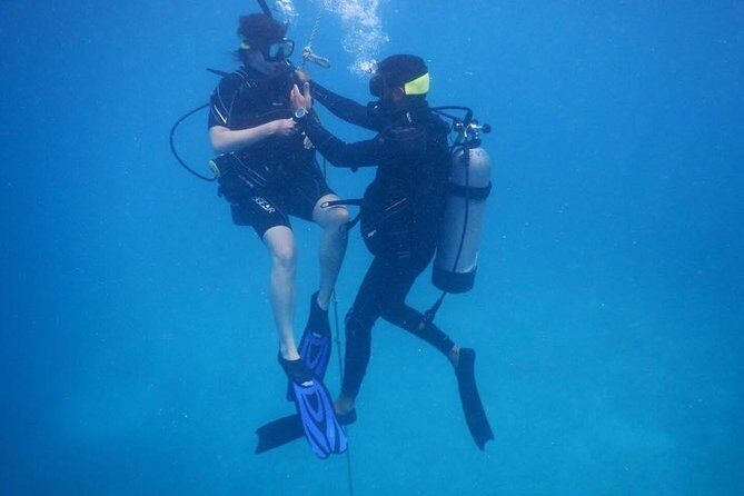 Discover Fajardo: 2-Tank Scuba Diving - The Classroom-to-Water Transition: How the Skills Session Really Feels