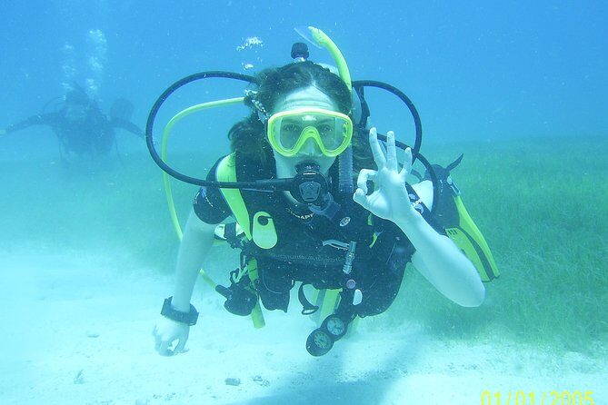 Discover Fajardo: 2-Tank Scuba Diving - The Reef Plan: Why the Cordillero Reef System Is the Star