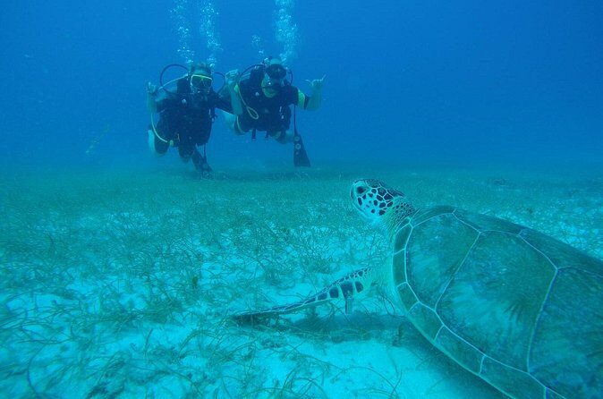 Discover Fajardo: 2-Tank Scuba Diving - Who This Trip Fits Best (And Who Should Go in With a Backup Plan)