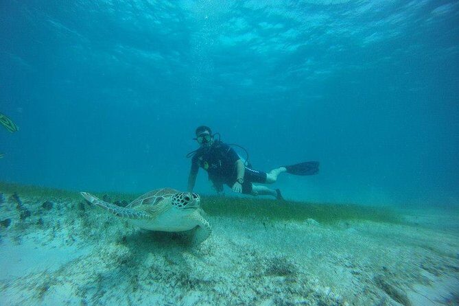 Discover Fajardo: 2-Tank Scuba Diving - Gear, Boat Comfort, and Crew Behavior That Builds Confidence