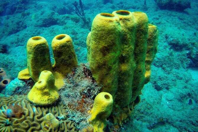 Discover Scuba Diving - Meeting point and timing: what to do before you’re suited up