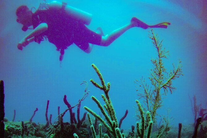 Discover Scuba Diving - What to bring (and what to wear) so the day feels easy