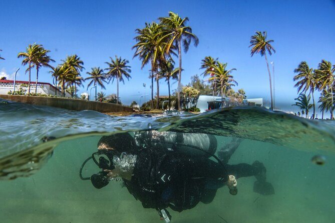 Discover Scuba Diving in San Juan - What you’ll see underwater: fish schools, turtles, and man-made features