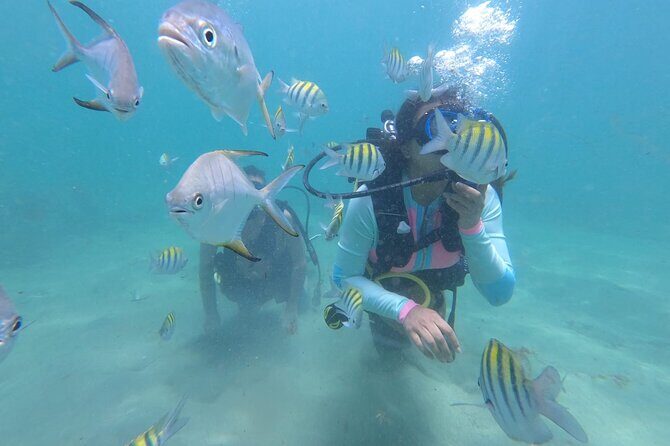 Discover Scuba Diving in San Juan: Perfect for First-Time Divers - Key things that make this intro scuba worth your time