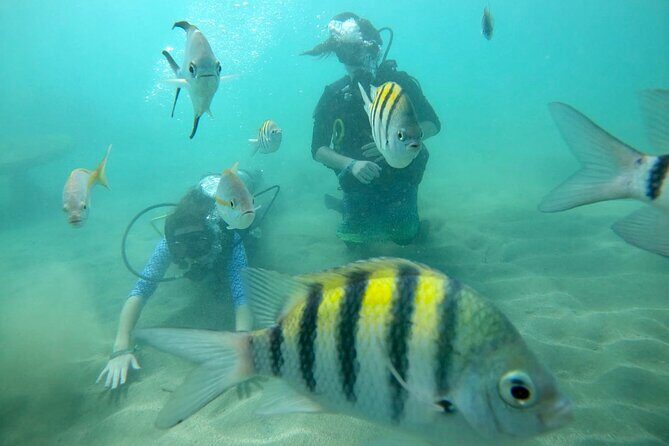 Discover Scuba Diving in San Juan: Perfect for First-Time Divers - Morning vs afternoon: how to choose your start time