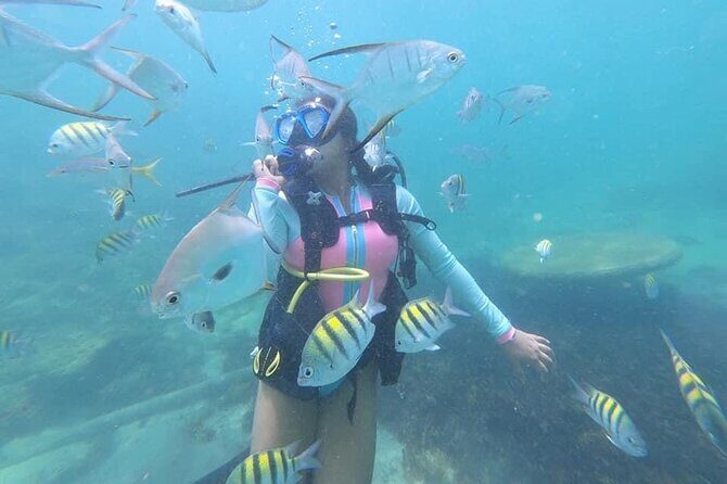 Discover Scuba Diving in San Juan: Perfect for First-Time Divers - What you’re actually paying for: value in a structured first-timer program