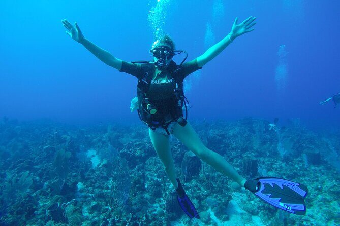 Discover Scuba Diving - The half-day flow: paperwork, video, fitting, then the reef