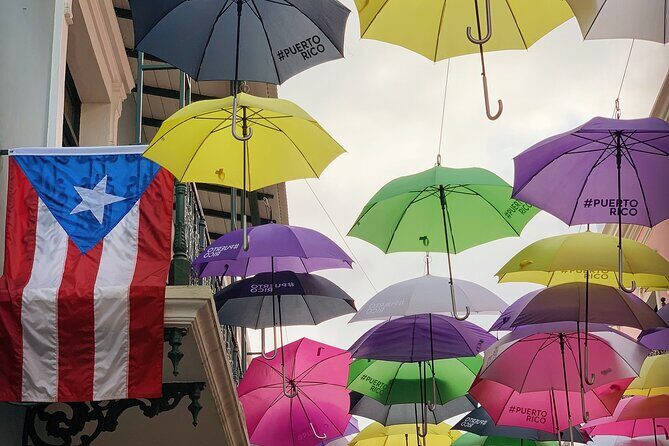 Discovering Puerto Rico: Lifestyle, Art, and Cultural Tour - Why the guide makes the difference here