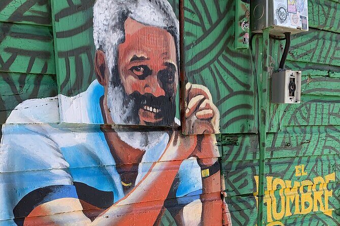 Discovering Puerto Rico: Lifestyle, Art, and Cultural Tour - Best fit: who this tour suits best