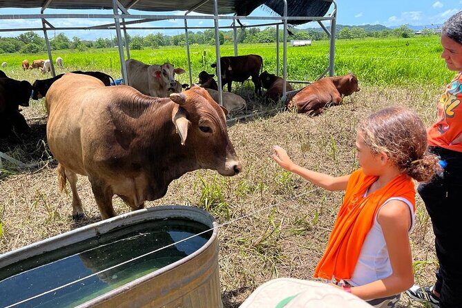 Eco Friendly Farming Tour to Explore Dorado's Most Beautiful Farm - Key highlights you’ll actually care about