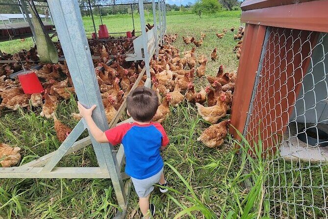 Eco Friendly Farming Tour to Explore Dorado's Most Beautiful Farm - Entering Finca Pastoreo: a tour that starts where the farm runs