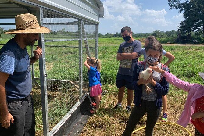 Eco Friendly Farming Tour to Explore Dorado's Most Beautiful Farm - Language and guide style: what José Luis brings to the tour